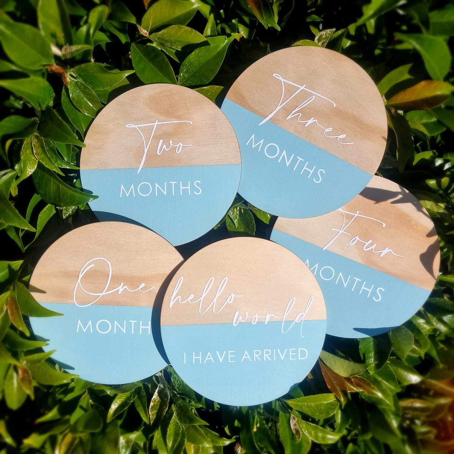 Wooden Milestone Discs