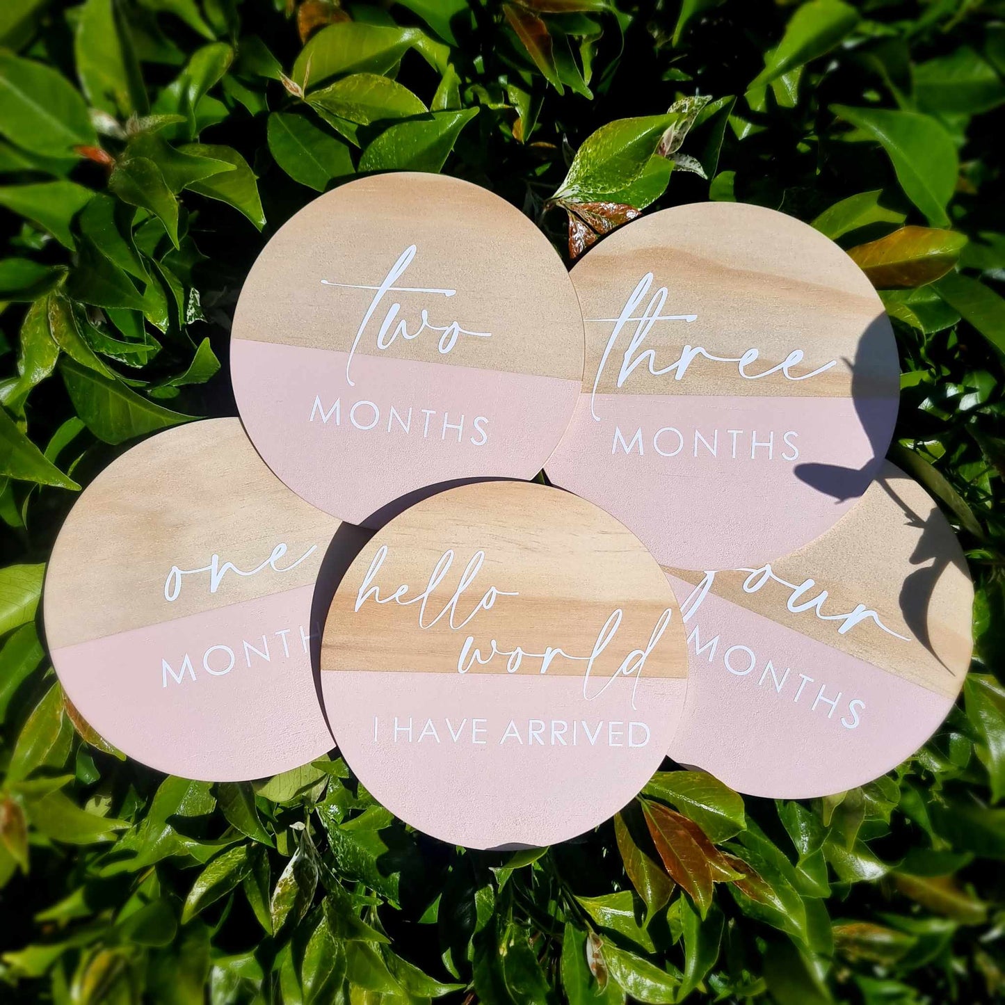Wooden Milestone Discs