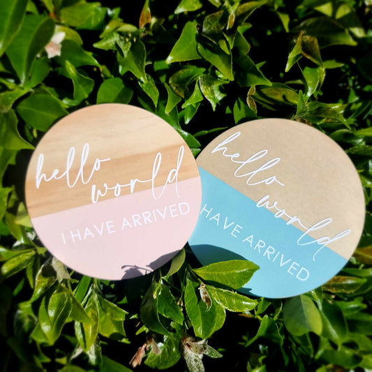 Wooden Milestone Discs